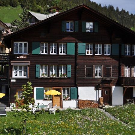 Studio Bim Chalet Bim Chilchli Mürren Kültér fotó