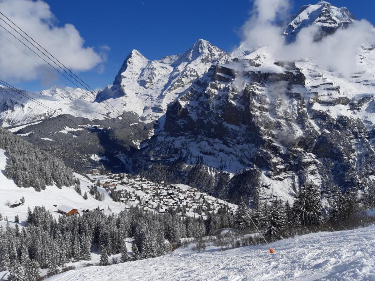 Studio Bim Chalet Bim Chilchli Mürren Kültér fotó